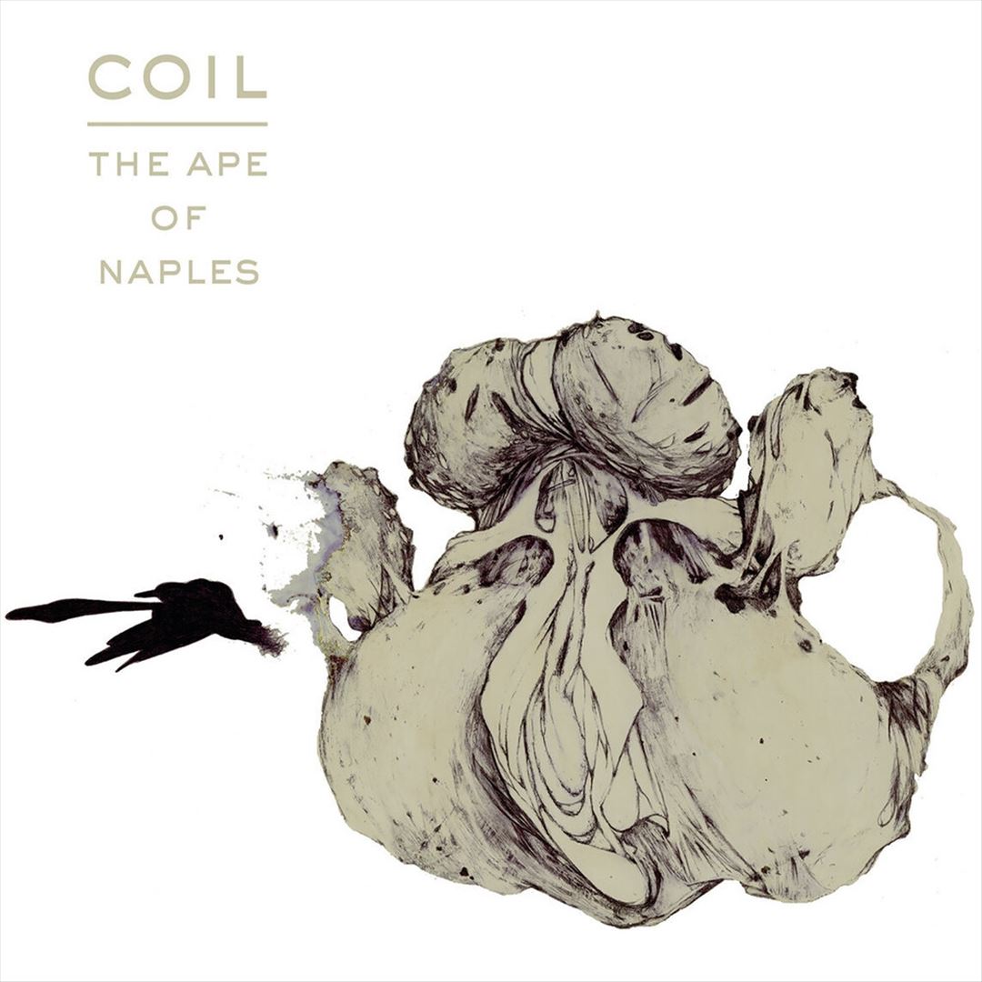 Ape of Naples cover art