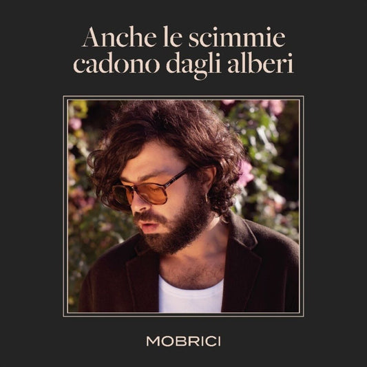 Anche le scimmie cadono dagli alberi cover art