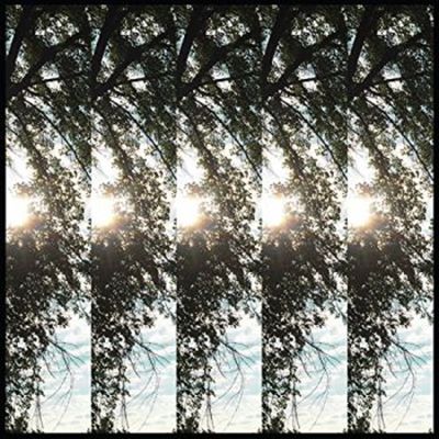 Dialectic of Ignorance cover art