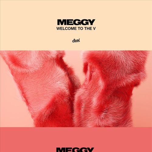 Welcome to the V cover art