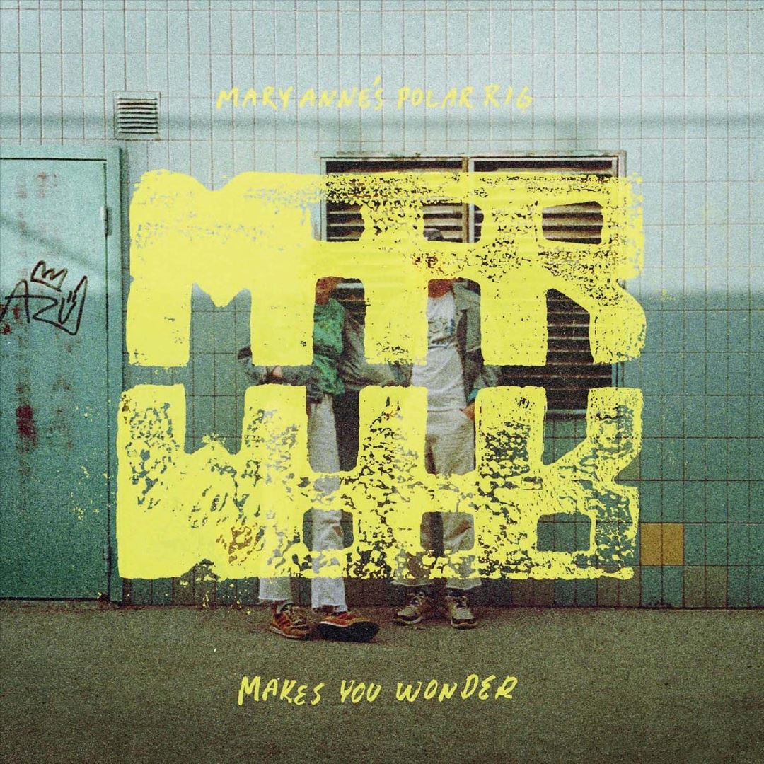 Makes You Wonder cover art