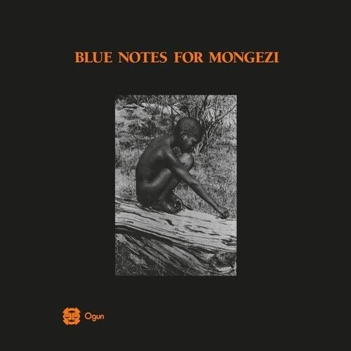 Blue Notes for Mongezi cover art