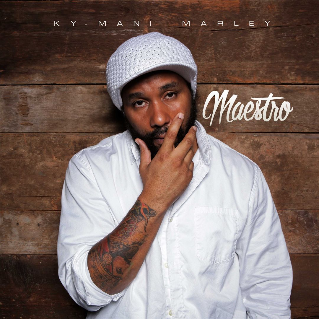 Maestro cover art