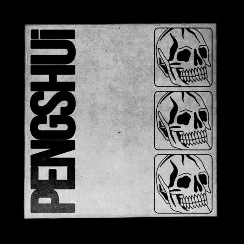 PENGSHUi cover art