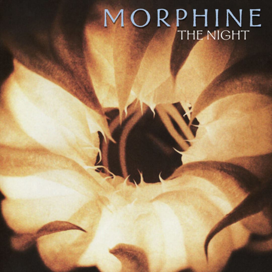 Night cover art