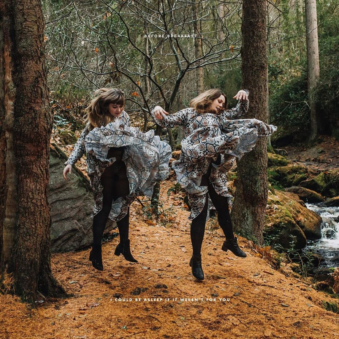 I Could Be Asleep If It Weren't for You cover art