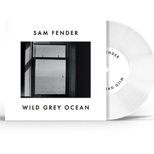 Wild Grey Ocean cover art