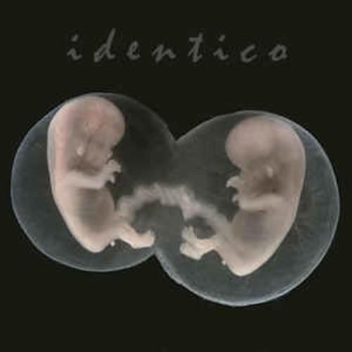 Identico cover art