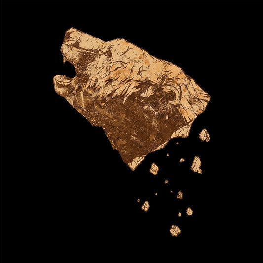 Bronze cover art
