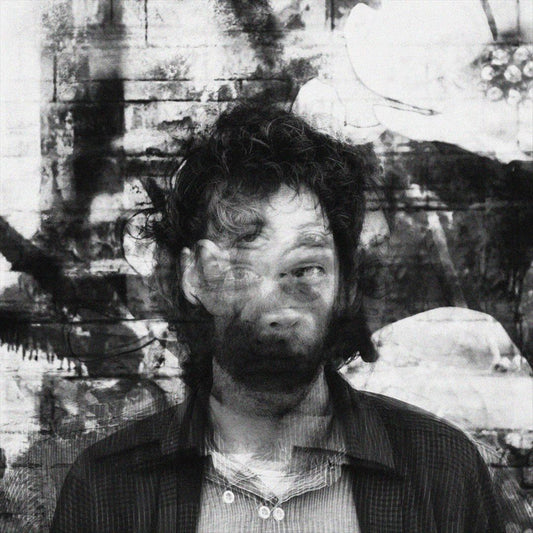 Brotherface cover art