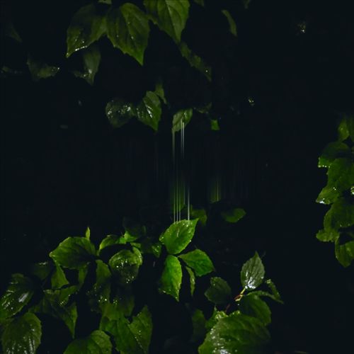 Music for Empty Flats cover art