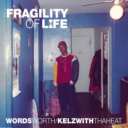Fragility of Life cover art