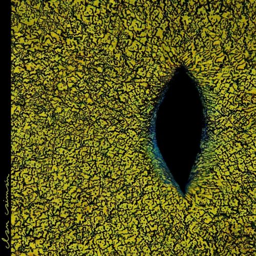 Clan Caimán cover art