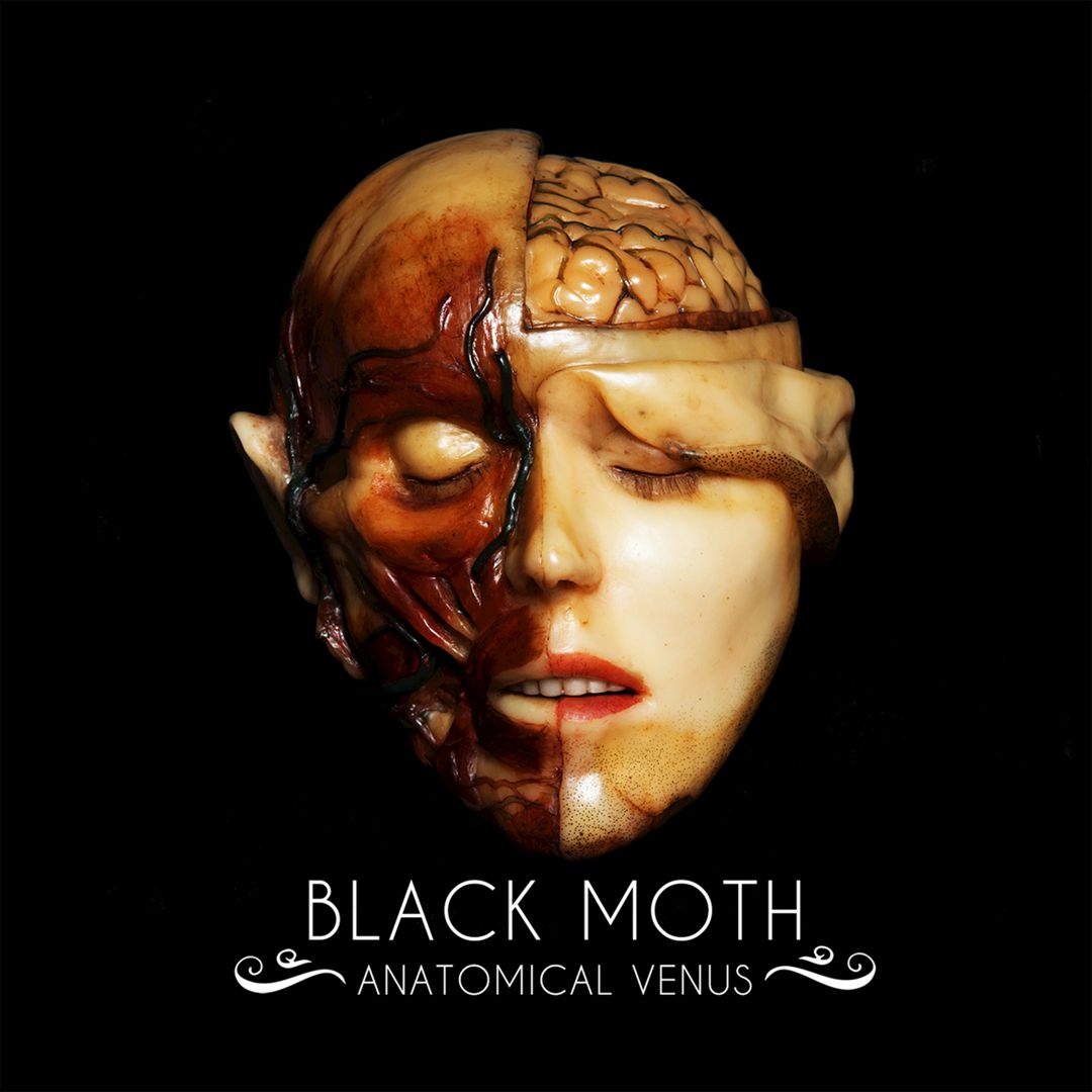 Anatomical Venus cover art