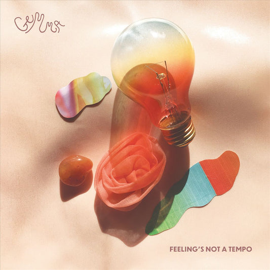 Feeling's Not a Tempo cover art