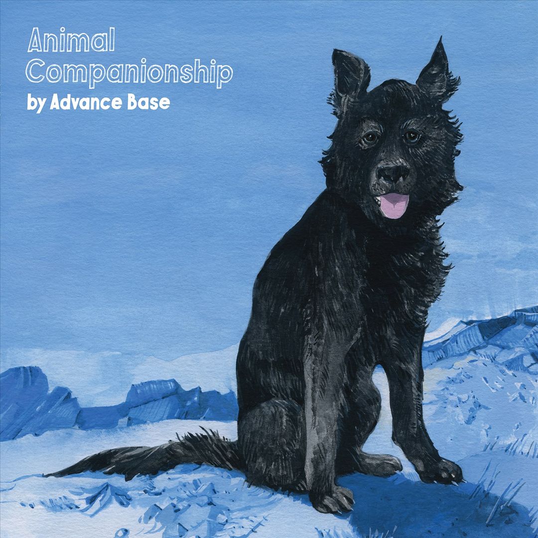 Animal Companionship cover art
