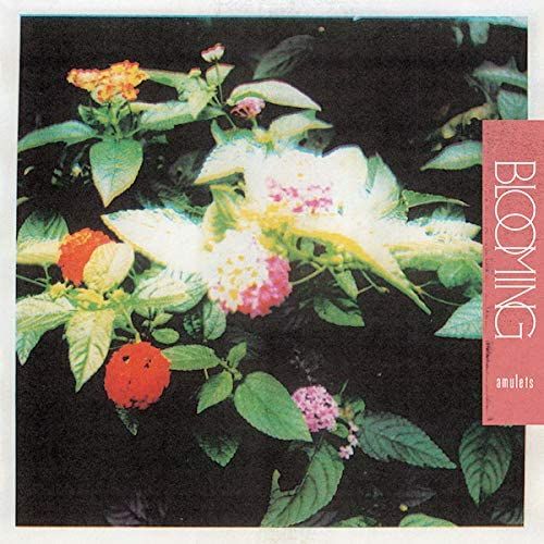 Blooming cover art