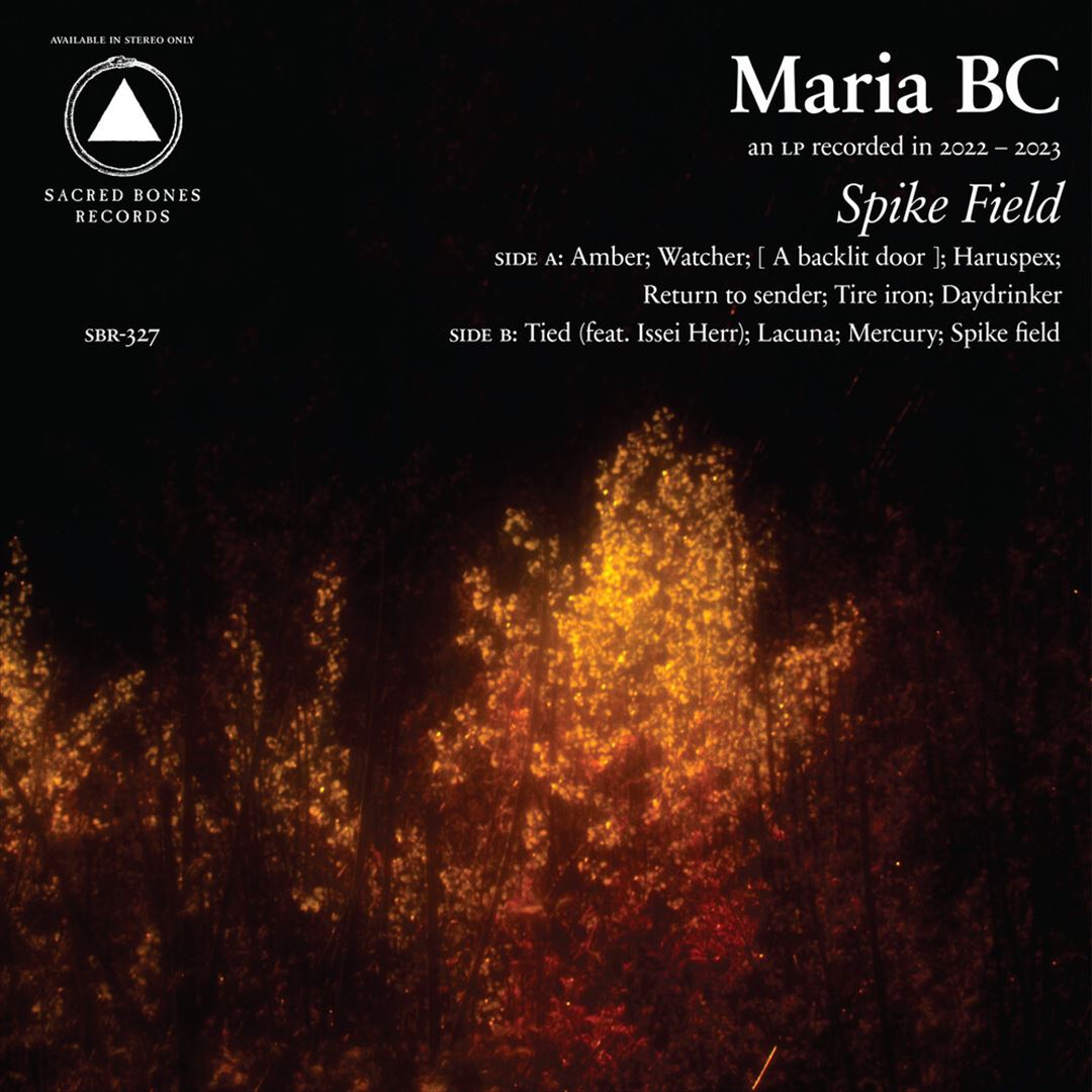 Spike Field cover art