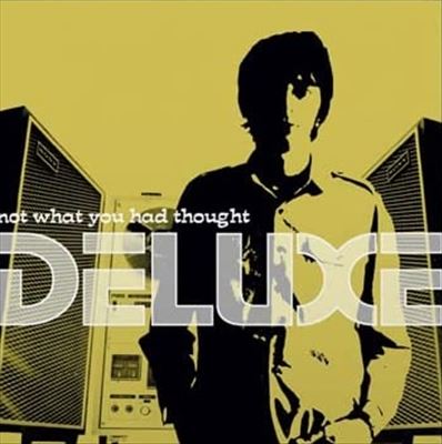 Not What You Had Thought cover art