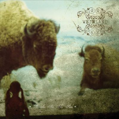 Breaks in the Sun cover art