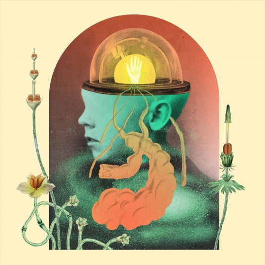 Akousmatikous cover art