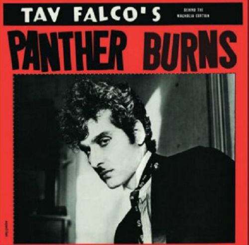 Behind the Magnolia Curtain cover art