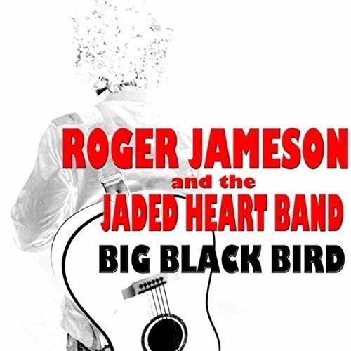 Big Black Bird cover art