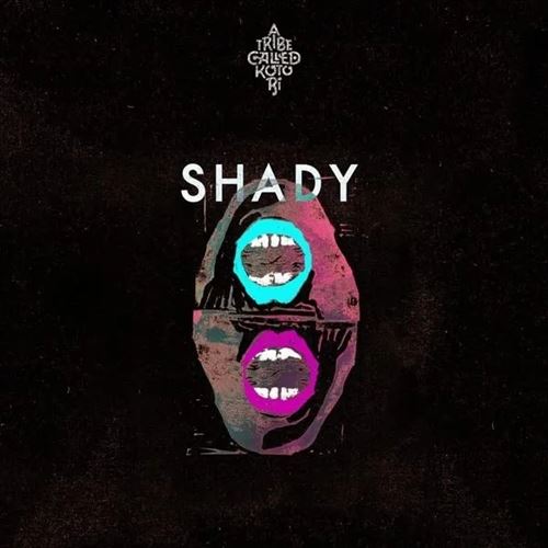 Shady cover art