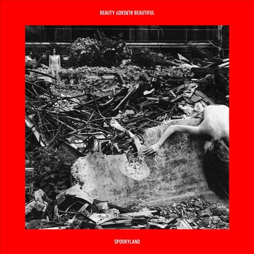 Beauty Already Beautiful [LP] cover art