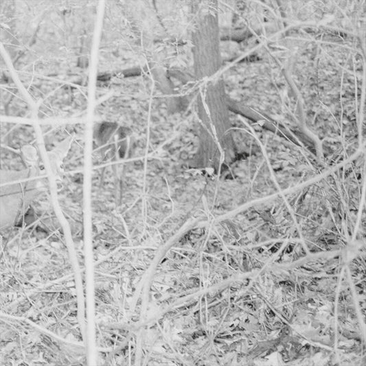 Bones for Time cover art