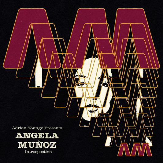 Introspection cover art