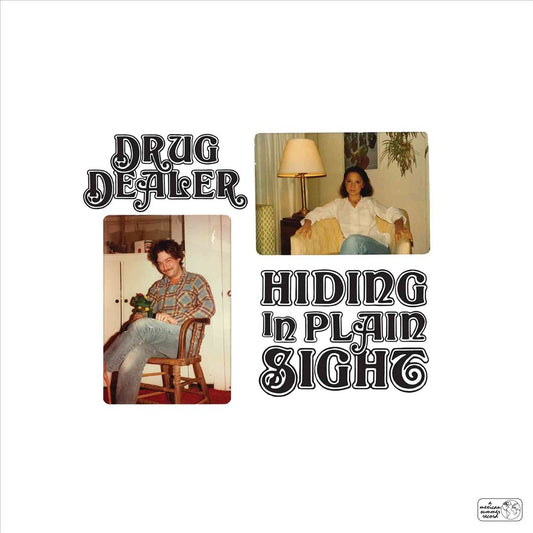 Hiding in Plain Sight cover art