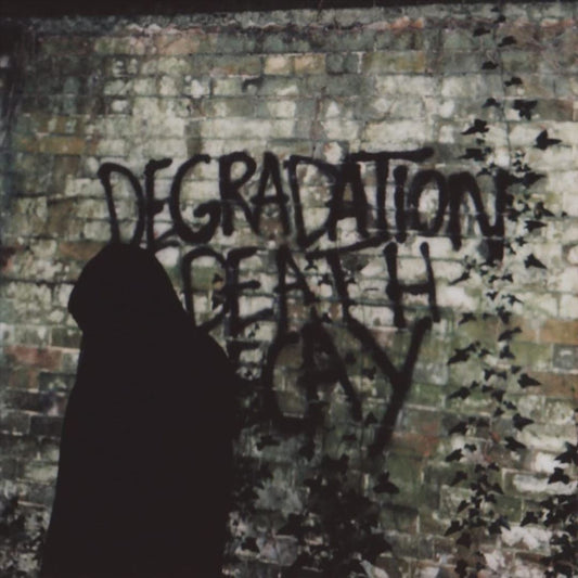 Degradation, Death, Decay cover art