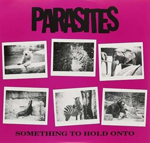 Something to Hold Onto [Single] cover art