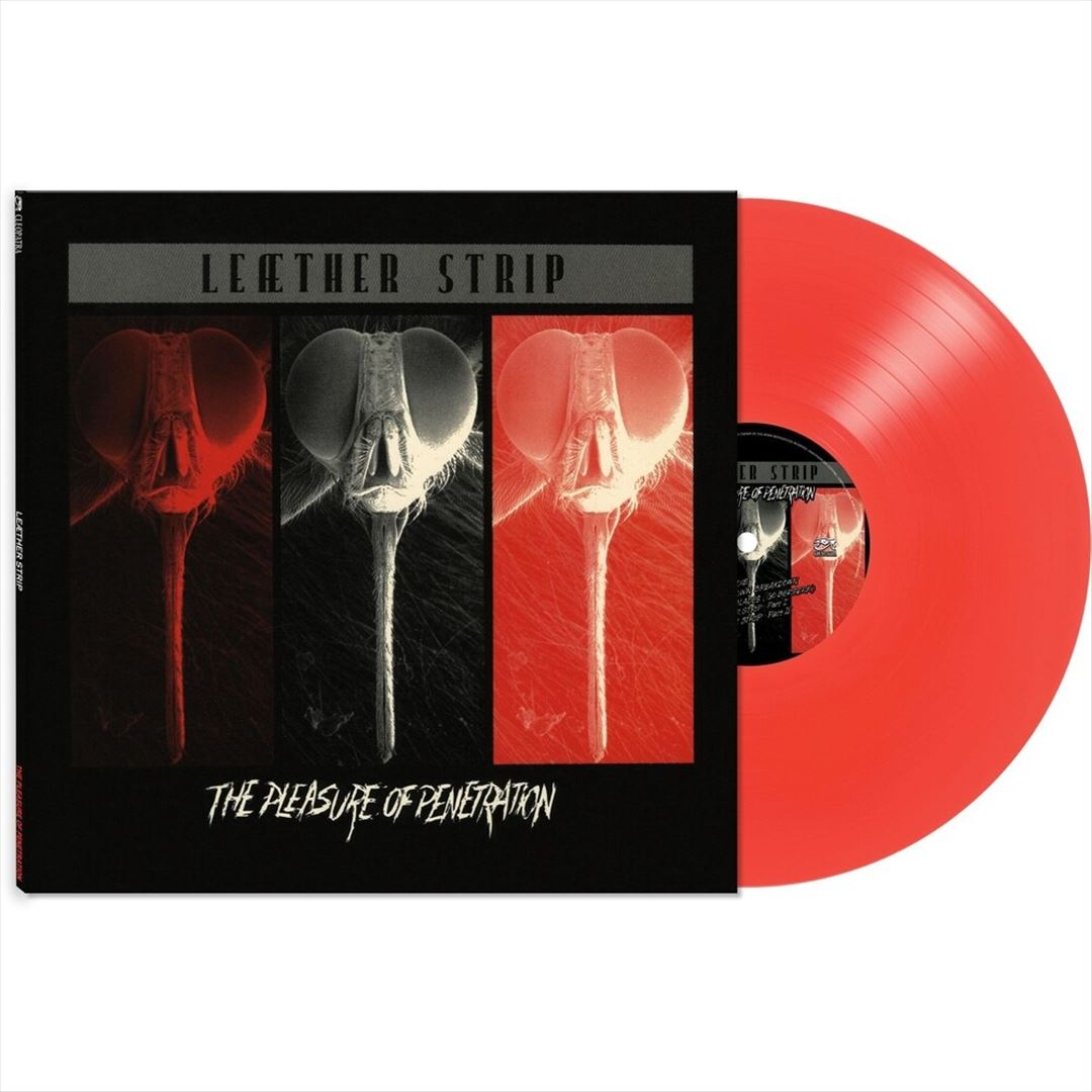 Pleasure of Penetration cover art
