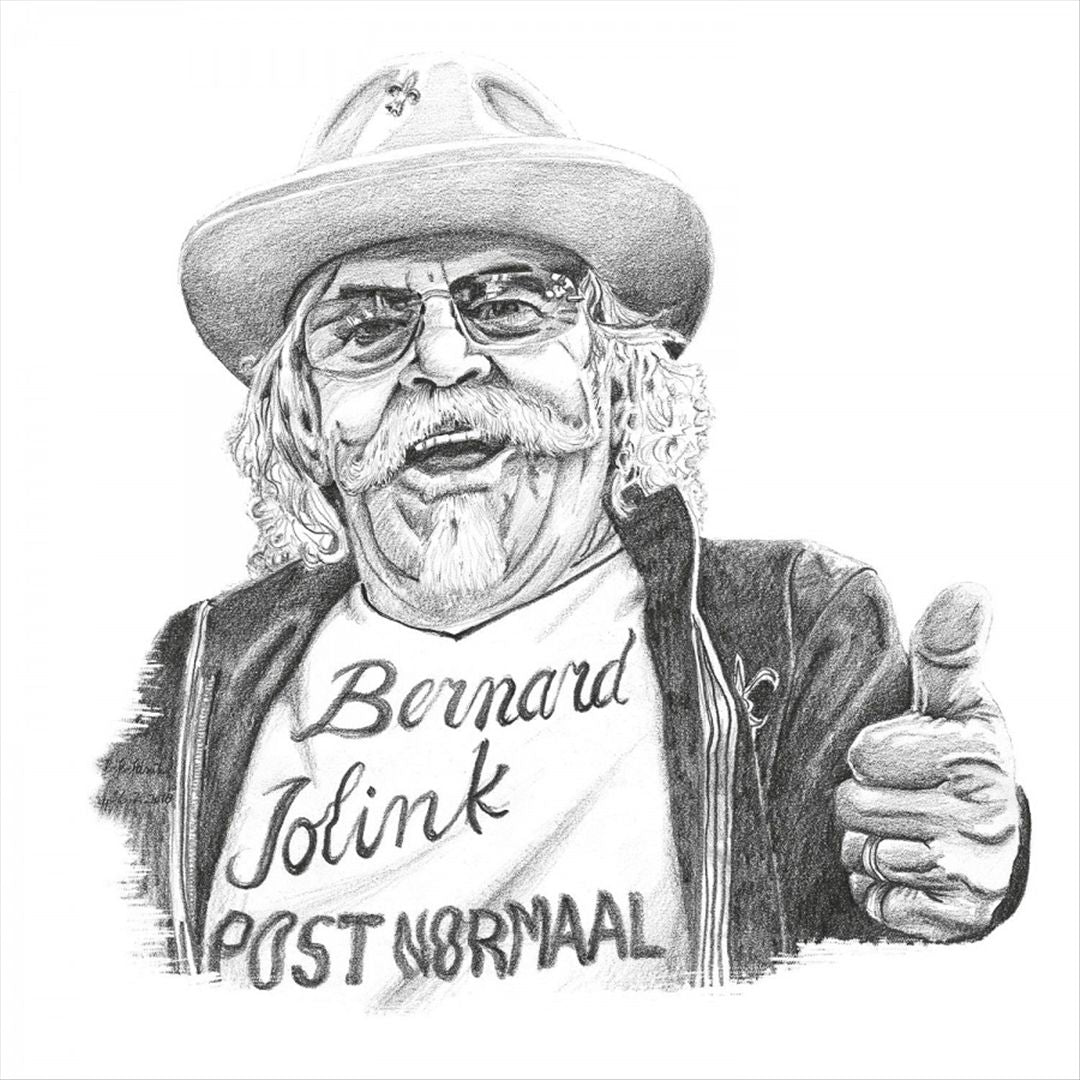Bernard Jolink: Post Normaal cover art