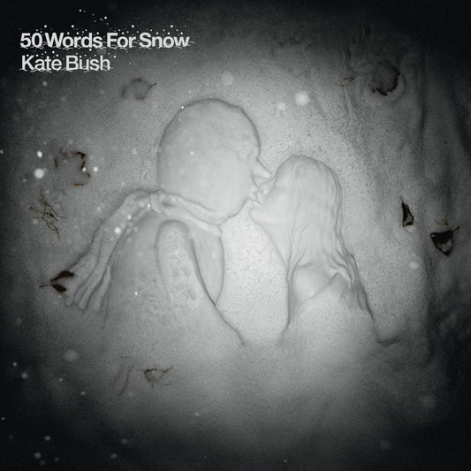 50 Words for Snow cover art