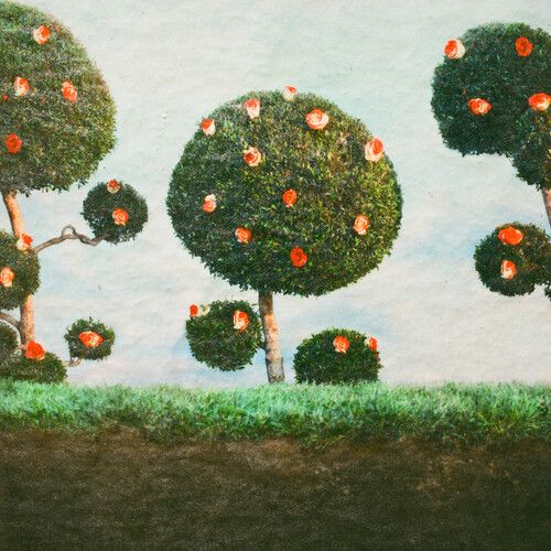 Painting the Roses cover art