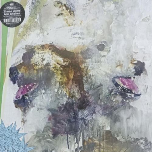 Tail Swallower and Dove cover art