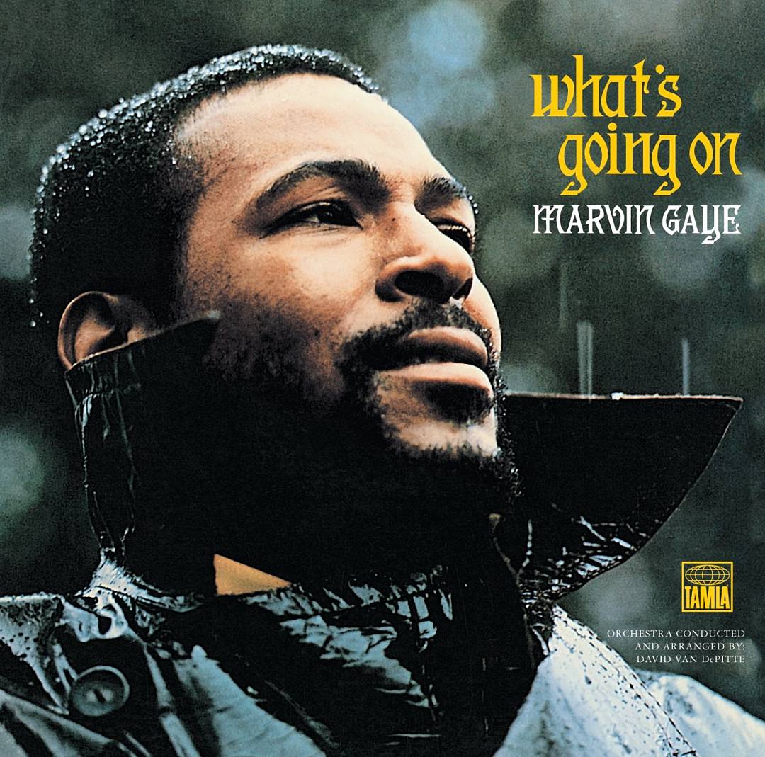 What's Going On [180 Gram Vinyl] cover art