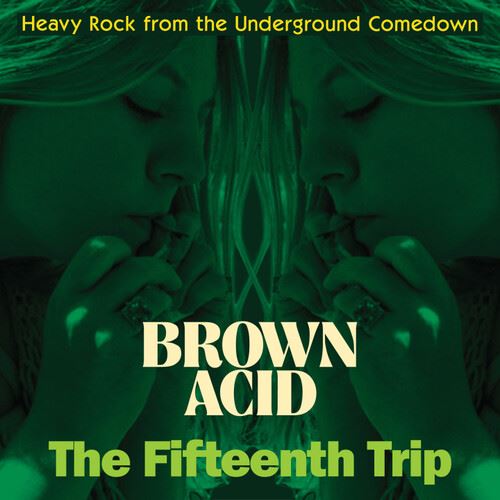 Brown Acid: The Fifteenth Trip cover art