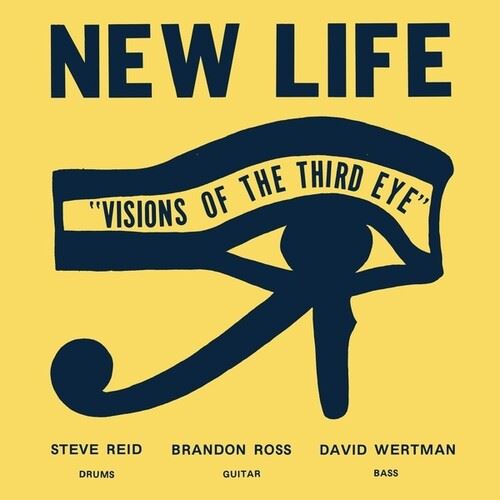Visions of the Third Eye cover art