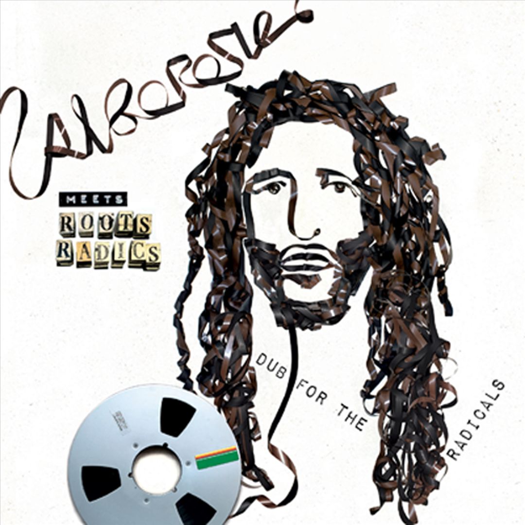 Alborosie Meets Roots Radics: Dub for the Radicals cover art