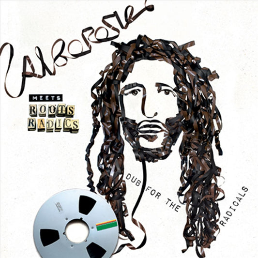 Alborosie Meets Roots Radics: Dub for the Radicals cover art