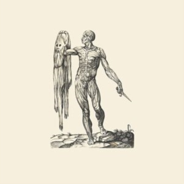 OBSERVATION OF BREATH cover art