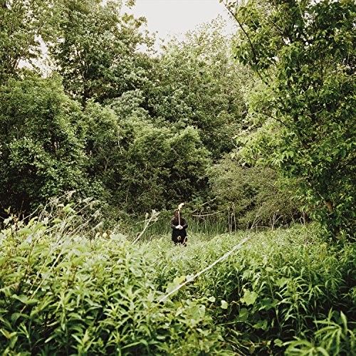 Pale Light cover art