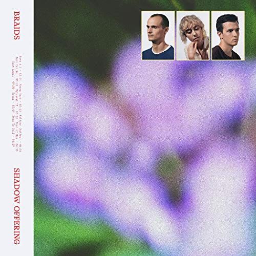Shadow Offering cover art