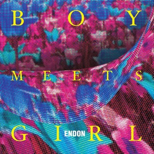 Boy Meets Girl cover art