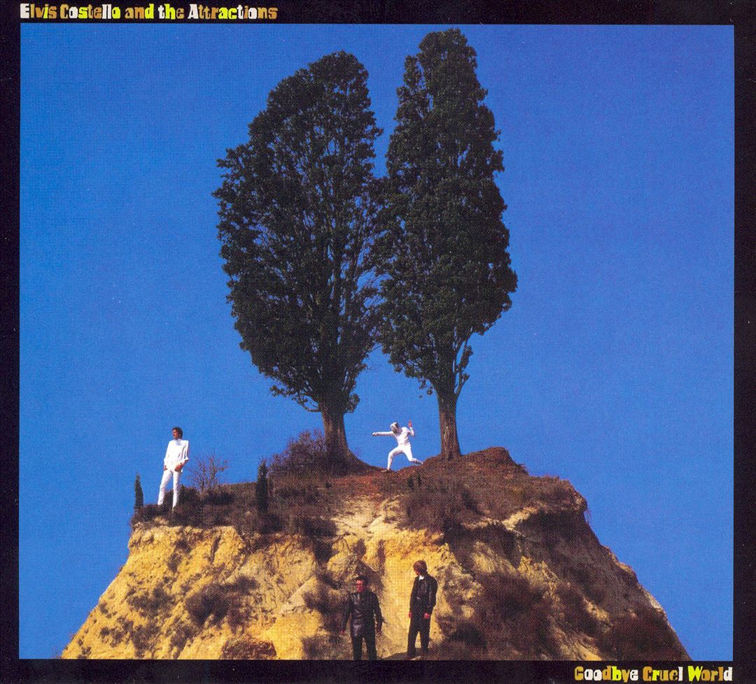 Goodbye Cruel World [LP] cover art