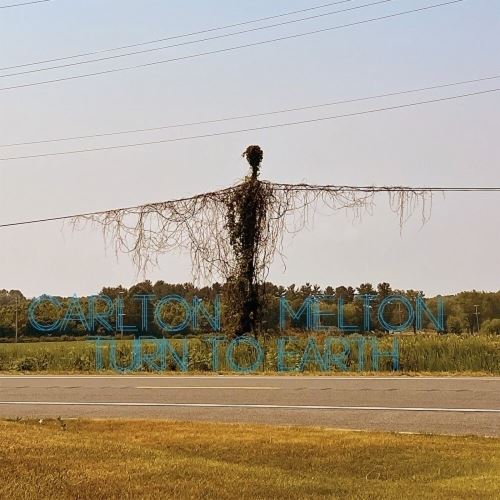 Turn to Earth cover art